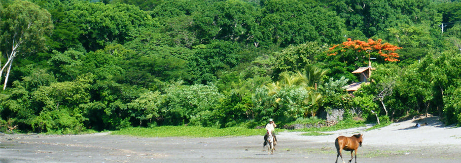 The Keywi™ goes to Costa Rica – Keywi Cards